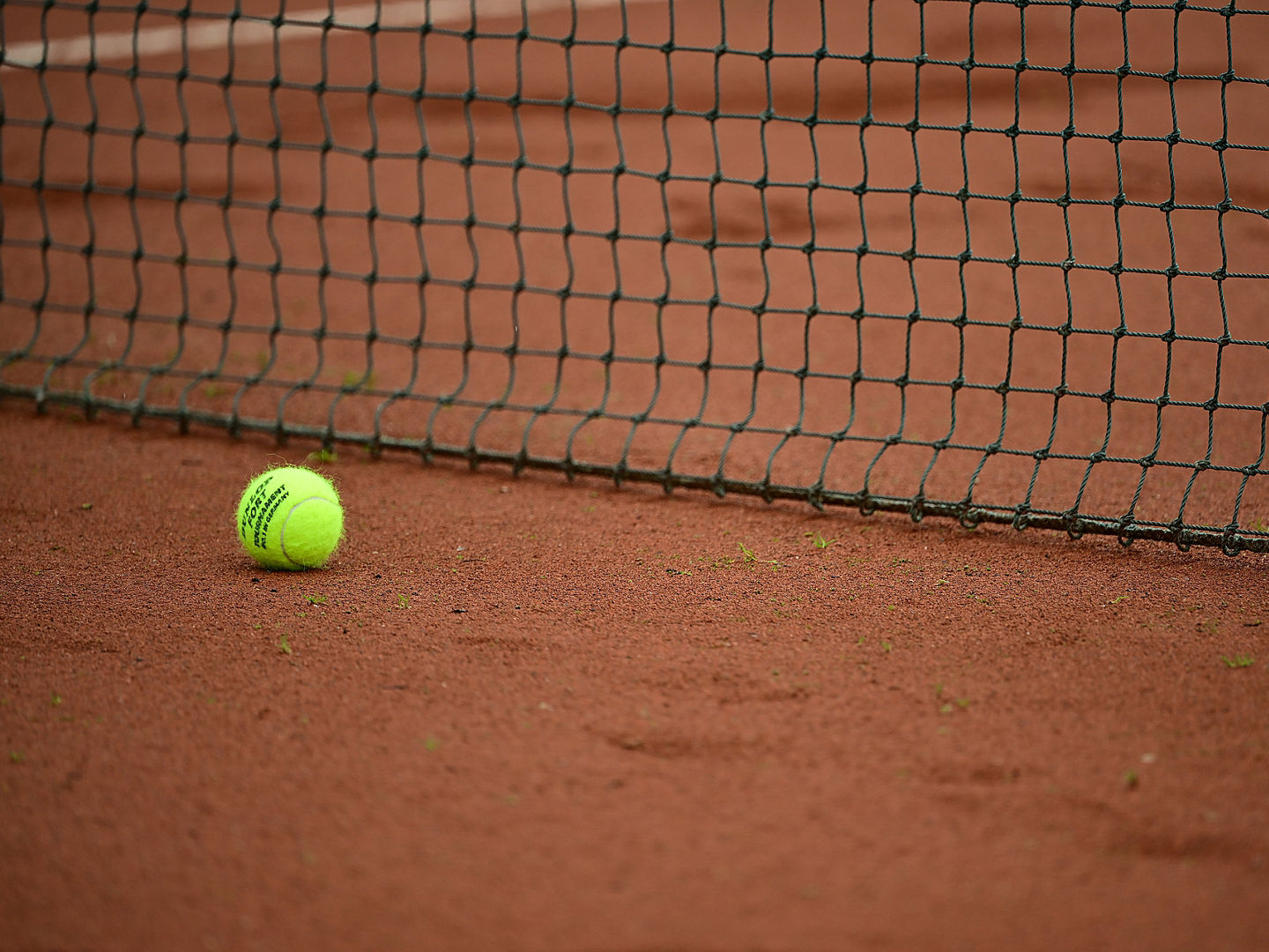 
Norderstedt, 31.05.2024, Tennis, Verbandsmeisterschaften Hamburg & Schleswig-Holstein 2024
