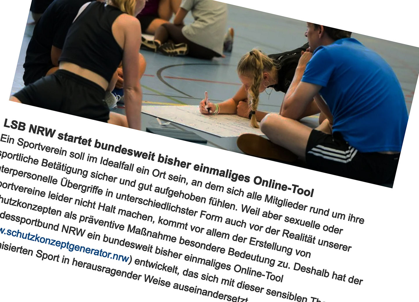 Schutzgenerator des LSB